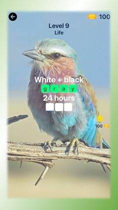 FabVocab: Guess Word Rhymes - Screenshot 2