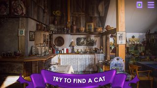 Find a Cat: Hidden Object - Screenshot 1