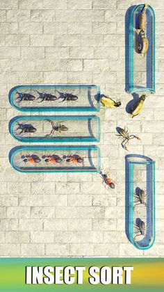 Insect Sort Puzzle Color Bugs - Screenshot 2