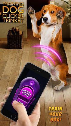 Training Dog Clicker Trinket - Screenshot 1
