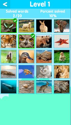 Guess the Animal Quiz - Screenshot 4