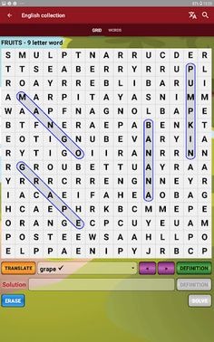 Word Search & Definition (DX) - Screenshot 4