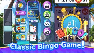 Bingo Collection - Bingo Games - Screenshot 1