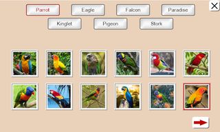 Guess the Bird: Tile Puzzle - Screenshot 2