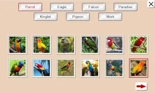 Guess the Bird: Tile Puzzle - Screenshot 2