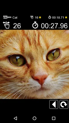 Puzzle Plus - Screenshot 2