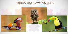 Amazing Birds - Jigsaw Puzzles - Screenshot 4