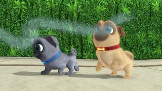 Puppy dog Run World PaLs - Screenshot 1