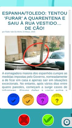 Bubble News - Screenshot 4