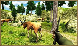 Deer Hunter Games Simulator - Screenshot 2