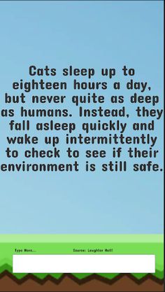 Type Me Senpai - Screenshot 4