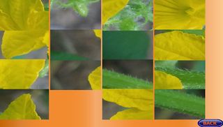 Jigsaw Nature Puzzle - Screenshot 2