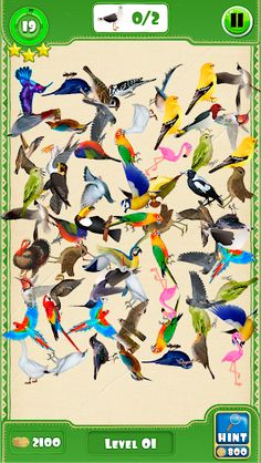 Hidden Pigeon Game Find Birds - Screenshot 1