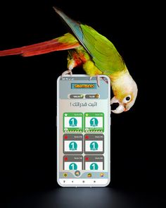 SmartBucks - Screenshot 2