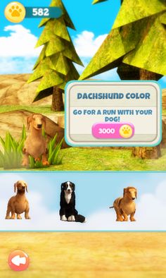 Dog Run - Screenshot 4