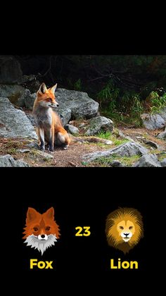 Fox or Lion - Screenshot 2