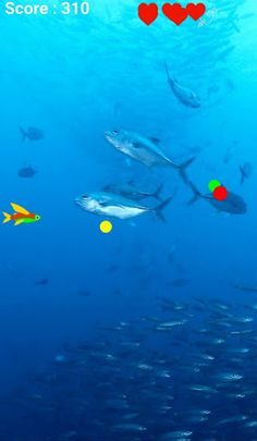 Save the Fish - Screenshot 2