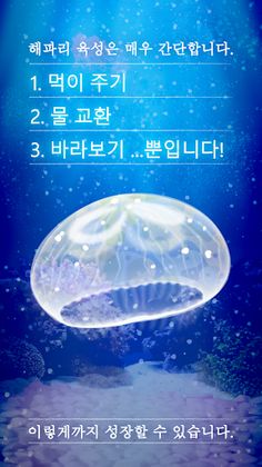 힐링의 해파리 육성 게임 - Screenshot 1