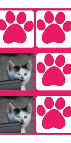 Cute Kittens Memory Game - Screenshot 3
