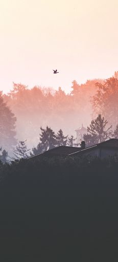 Quiet estuaries - Screenshot 1