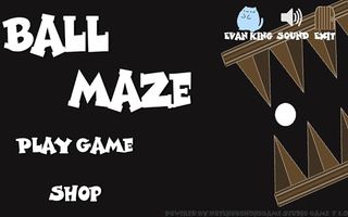 Ball Maze - Screenshot 1