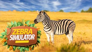 Real Zebra : Zebra Games - Screenshot 3