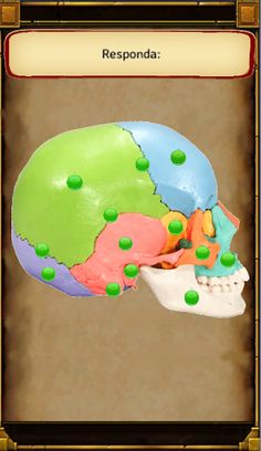 Jogando E Aprendendo Anatomia - Screenshot 3
