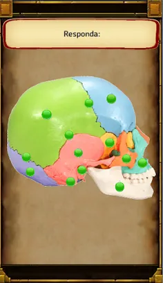 Jogando E Aprendendo Anatomia - Screenshot 3