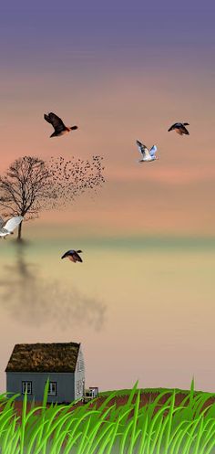 kbsDuck - Screenshot 4