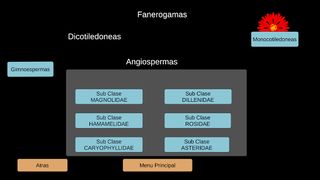 Botanica Sistematica + - Screenshot 2