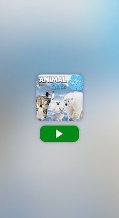 QUIZ GAME - Screenshot 1