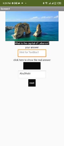 Capital Quiz - Screenshot 3