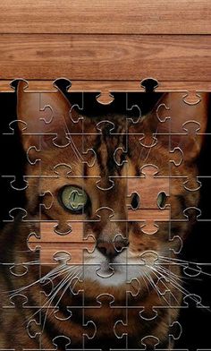 Cats Jigsaw Puzzles Games - Screenshot 3