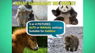 What shouldn’t be here? - Screenshot 1