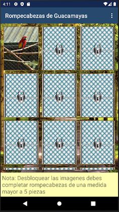 Rompecabezas de Guacamayas - Screenshot 2