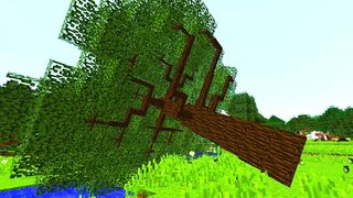 Dynamic Trees Mod Minecraft PE - Screenshot 2