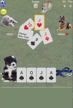 K9 Euchre - Screenshot 2