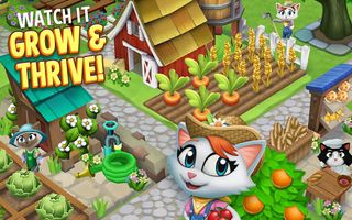 Kitty City - Screenshot 3
