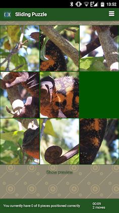 Sliding Puzzle - Screenshot 3