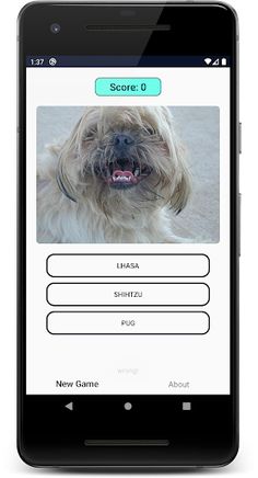 Dogs Quiz: Guess and Learn the - Screenshot 1