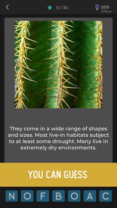 Mega Quiz - Guess The Object - Screenshot 4