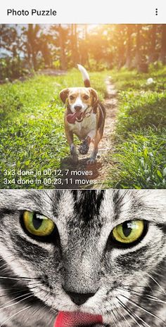 Photo Puzzle Game - Screenshot 1