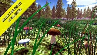 Real Mushroom Hunting Simulato - Screenshot 2