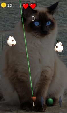 Feed The Chonks - Cat Feeding  - Screenshot 4