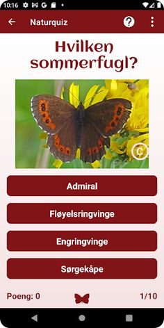 Naturquiz - Screenshot 4