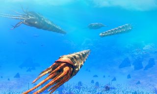 Cameroceras Simulator - Screenshot 3