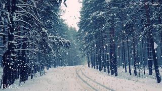 Weather Simulator - Screenshot 2