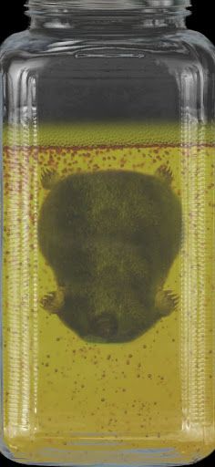 КРОТОВУХА - Screenshot 2