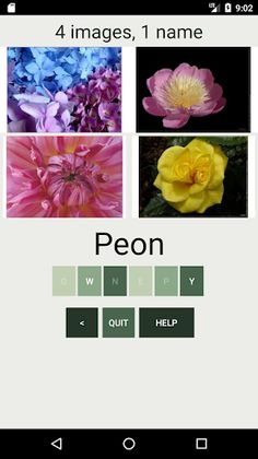 What Kind of Flower Are You ? - Screenshot 4