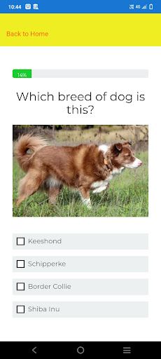 Dog quiz - identify the breeds - Screenshot 4